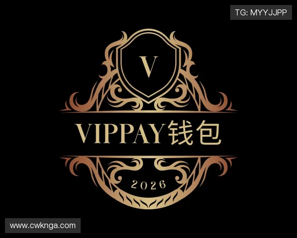 关于VipPay钱包